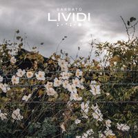 Barbato - Lividi