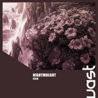 NightMnlght - Calm