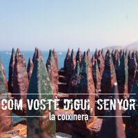 La Coixinera - Com Vostè Digui, Senyor