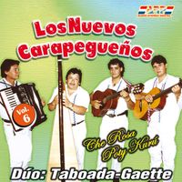 Los Nuevos Carapegueños - Che rosa poty Kurú (Vol. 6)
