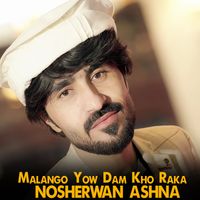 Nosherwan Ashna - Malango Yow Dam Kho Raka