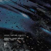 Last Life - Remixed: 2