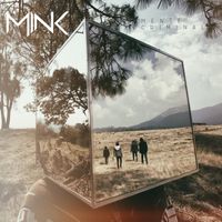 MINK - Mente Criminal