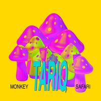 Monkey Safari - Tariq