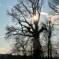 Manuel Teuscher - Familie