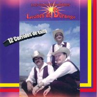 Los Leones De Durango - 12 Corridos de Exito (Explicit)
