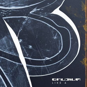 Gaudium - Like A