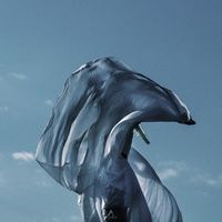 Kayzen - Nouvelle vibration