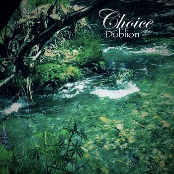 Choice - Dublion
