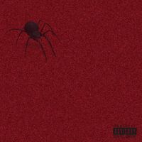 Chc - No Hype (Explicit)