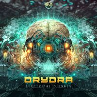 DRYDRA - Electrical Signals