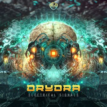 DRYDRA - Electrical Signals