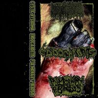 Pulmonary Fibrosis - Cystic Hygroma Endocarditis (Explicit)