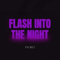 Palmez - Flash into the Night