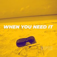D1N1Z - When You Need It