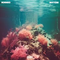 Borneo - Bottom