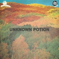 Black Moth Super Rainbow - Unknown Potion