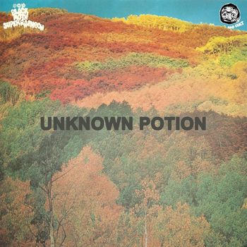 Black Moth Super Rainbow - Unknown Potion