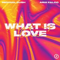 Michael Push featuring Aria Falco - What Is Love