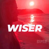 D1N1Z - Wiser