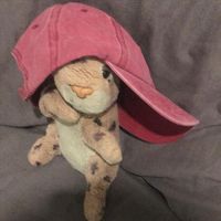 Nina Young - Sharky Warky