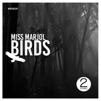 Miss Marjol - Birds (Extended Mix)