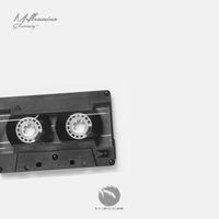 Mrfleamino - Electrocity