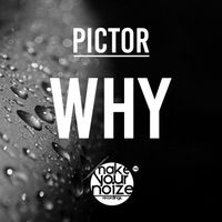 Pictor - Why