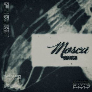 Leiden - Mosca bianca