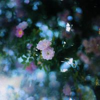 emptiness - No Surprises (electric guitar)