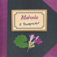 Malvela - O Benquerer