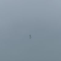 quiet - Сегодня холодно