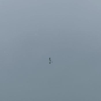 quiet - Сегодня холодно