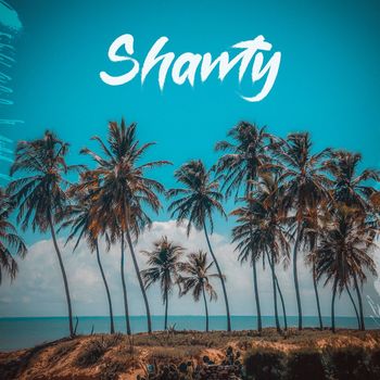J.T.S. - Shawty