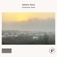Bernie Rosa - Counting Sheep