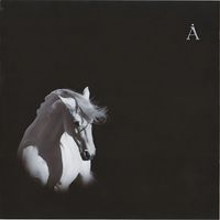 Aquarium - Лошадь Белая