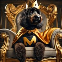 Milton - Hundlivet Är Orättvist