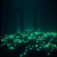 shk - forest de fresh