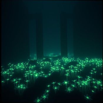 shk - forest de fresh