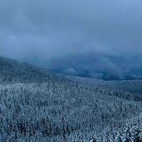 Frida - Celibacy 101