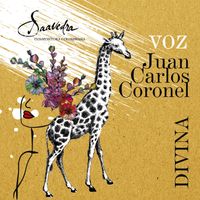 Juan Carlos Coronel - Divina