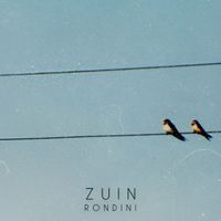 Zuin - Rondini