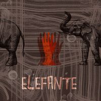 Zuin - Elefante