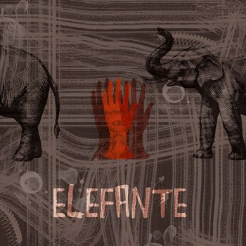 Zuin - Elefante