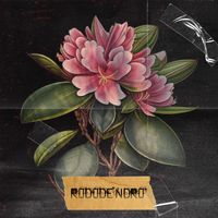 Ultra - RODODENDRO