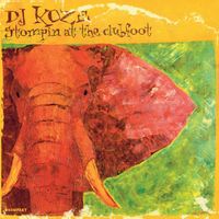 DJ Koze - Stompin at the Club Foot