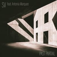 SV - Past Partial