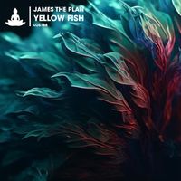 James The Plan - Yellow Fish