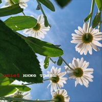 Quiet - Ниже Травы