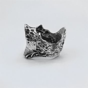 Vlad Dobrovolski - Silent Crown